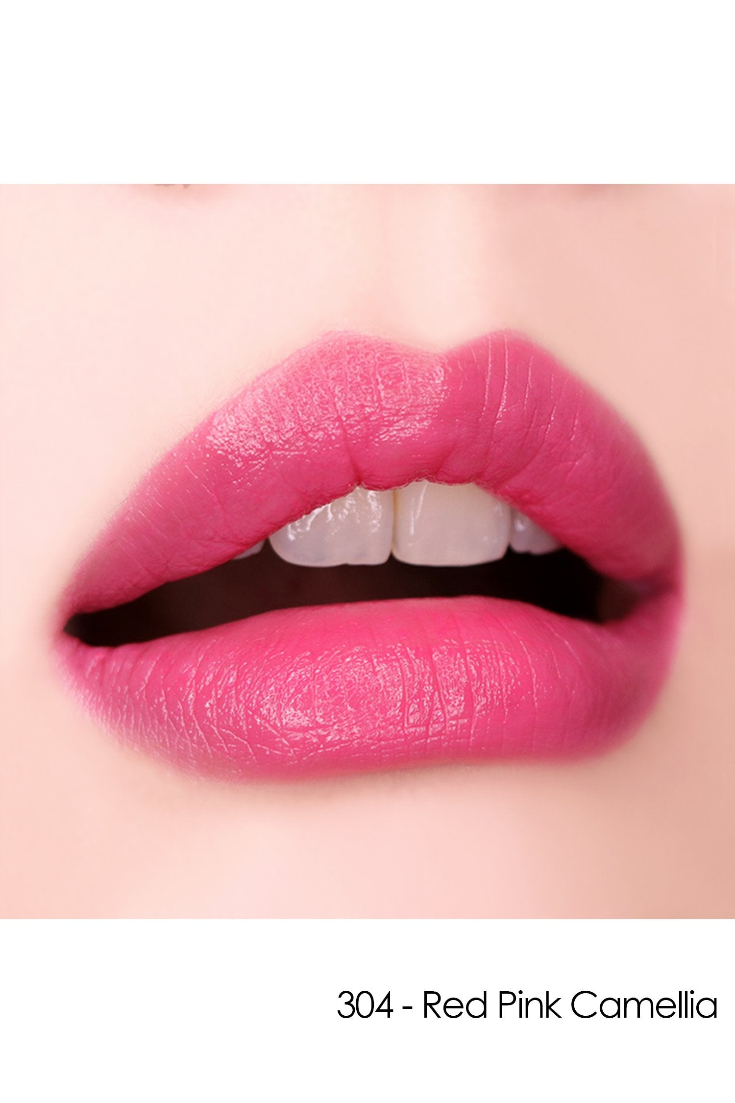 Lips with Lipstick F: Fairy Flower 304 - Red Pink Camellia