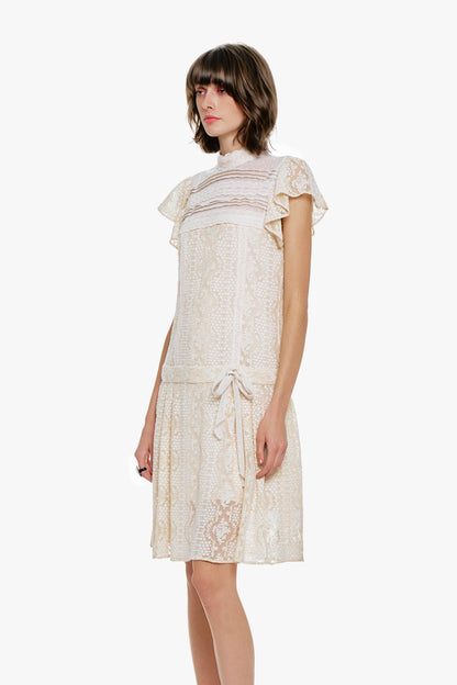 Victorian Lace Combo Drop Waist Dress