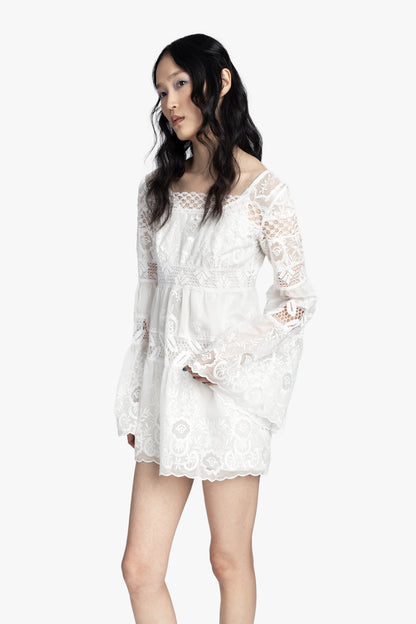 Cottage Rose Lace Mini Dress