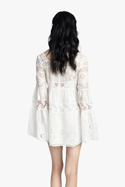 Cottage Rose Lace Mini Dress