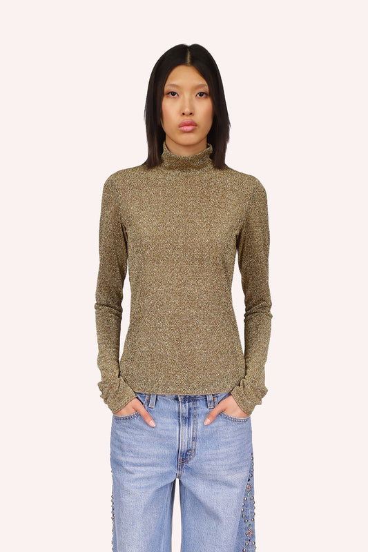 Shiny gold Mesh turtlenecks with long sleeves that can cover hands 
