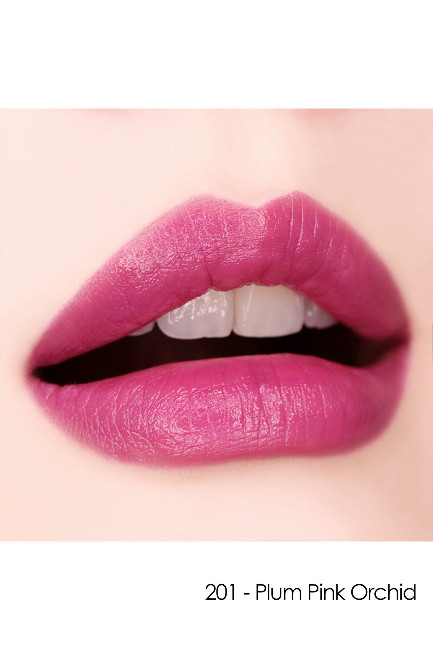 Lips with Lipstick F: Fairy Flower 201 - Plum Pink Orchid